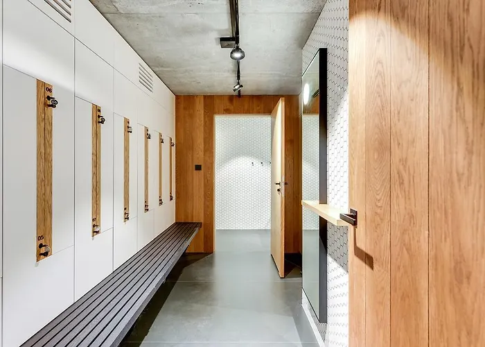 Comfort Bursztynowa Daire